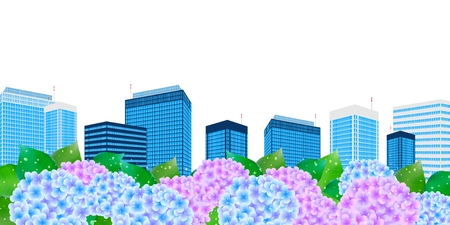 Hydrangea rainy season flower backgroundのイラスト素材