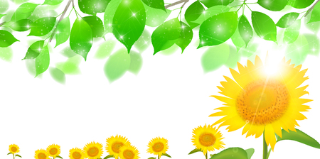 Sunflower summer scenery backgroundのイラスト素材