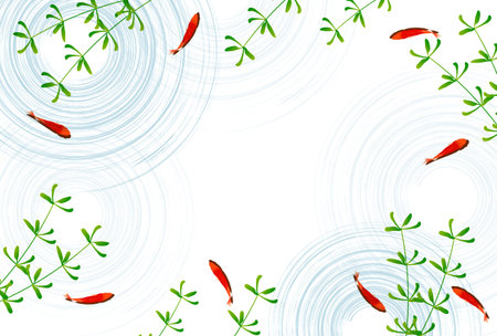 Goldfish grass Summer greeting card backgroundのイラスト素材