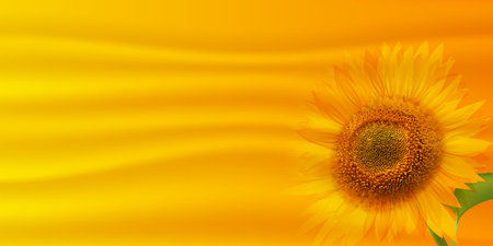 Sunflower summer flower backgroundのイラスト素材