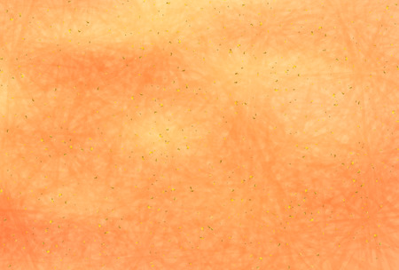 Autumn leaves fall Japanese paper backgroundのイラスト素材