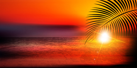 Palm summer scenery backgroundのイラスト素材