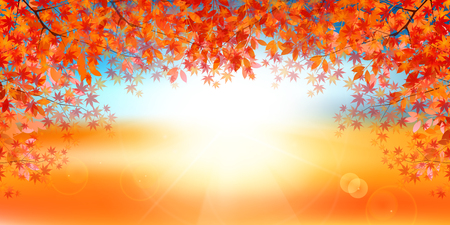 Autumn leaves Maple autumn backgroundのイラスト素材