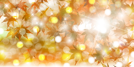 Autumn leaves Maple autumn backgroundのイラスト素材