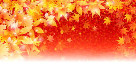 Autumn leaves autumn backgroundのイラスト素材