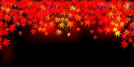 Autumn leaves fall backgroundのイラスト素材
