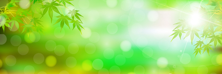 Maple leaves summer backgroundのイラスト素材