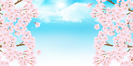Cherry Blossom spring flower backgroundのイラスト素材