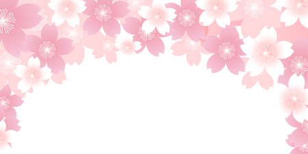 Cherry Blossom spring flower backgroundのイラスト素材