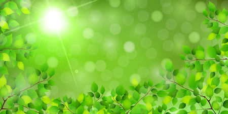 New green leaf green backgroundのイラスト素材