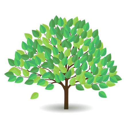 Fresh green leaf tree iconのイラスト素材