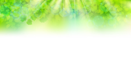 New green leaf green backgroundのイラスト素材