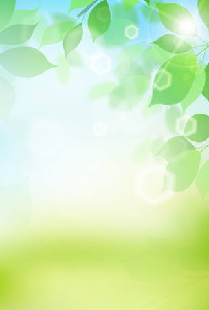 Fresh green light green backgroundのイラスト素材