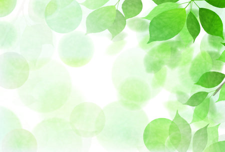 Fresh green leaves green backgroundのイラスト素材