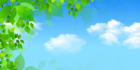 Fresh green leaves green backgroundのイラスト素材