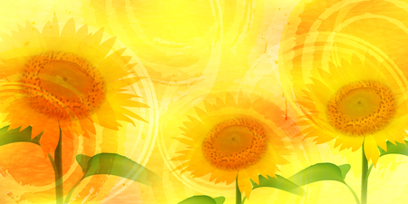 Sunflower summer flower backgroundのイラスト素材