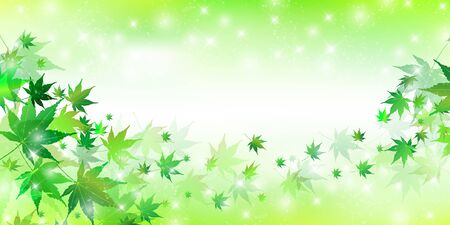 Maple fresh green leaves backgroundのイラスト素材