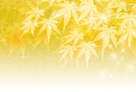 Autumn leaves maple leaves backgroundのイラスト素材