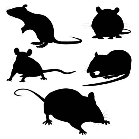 mouse New year's card Zodiac iconのイラスト素材
