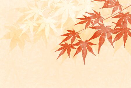 Autumn leaves maple leaves backgroundのイラスト素材