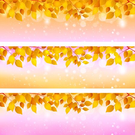 Autumn leaves maple leaves backgroundのイラスト素材