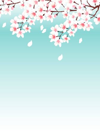 Cherry blossom Spring flowers backgroundのイラスト素材