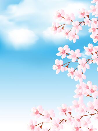 Cherry blossom Spring flowers backgroundのイラスト素材