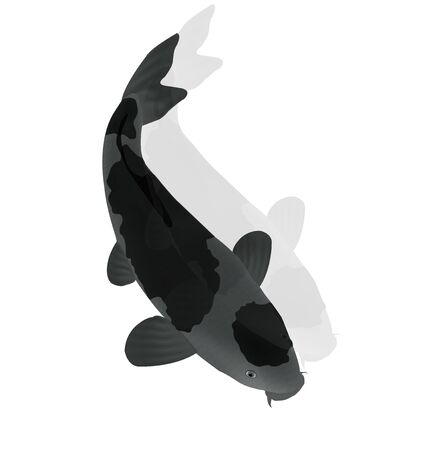 carp Fish Japan creature iconのイラスト素材