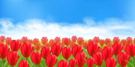 Tulips flowers spring sky backgroundのイラスト素材