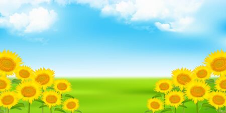 Sunflower meadow sky backgroundのイラスト素材