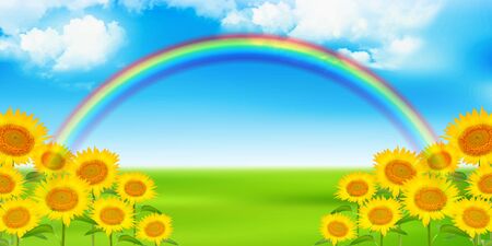 Sunflower meadow sky backgroundのイラスト素材