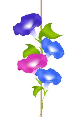 Morning glory watercolor summer iconのイラスト素材