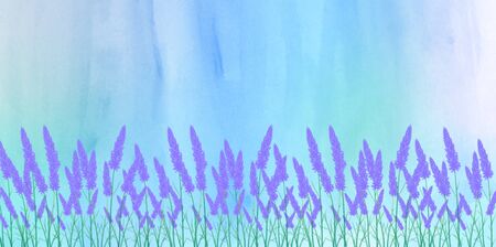Lavender herb watercolor flower backgroundのイラスト素材