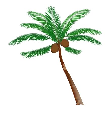 Palm tree leaf tropical iconのイラスト素材