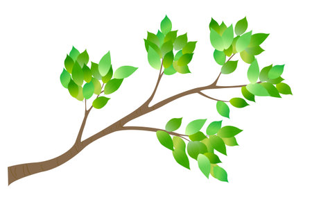Fresh green tree leaf iconのイラスト素材