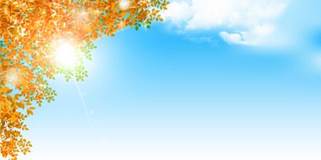 Autumn leaves maple autumn backgroundのイラスト素材
