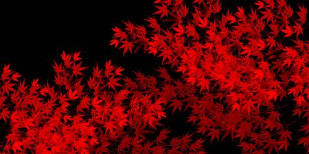 Autumn leaves maple autumn backgroundのイラスト素材