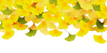 Autumn leaves ginkgo autumn backgroundのイラスト素材