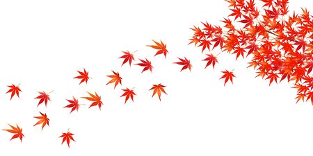 Autumn leaves maple autumn backgroundのイラスト素材