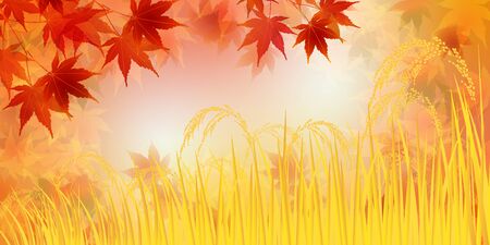 Rice rice plant Autumn leaves backgroundのイラスト素材