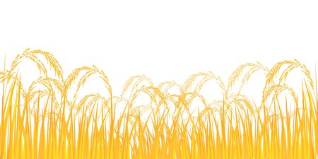 Rice rice plant Agriculture backgroundのイラスト素材