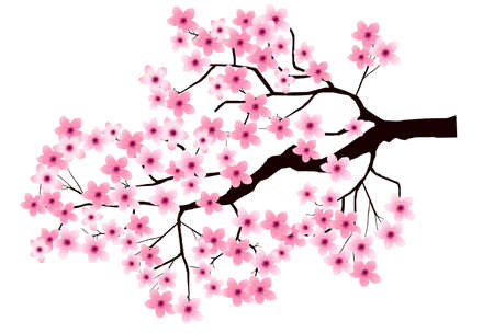 Cherry blossom spring flower iconのイラスト素材