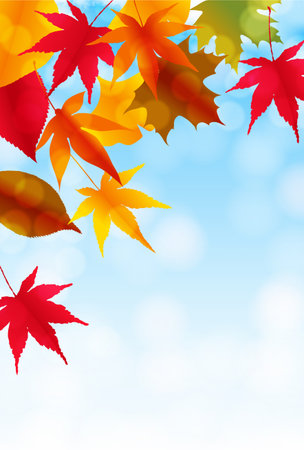 Autumn leaves maple autumn backgroundのイラスト素材