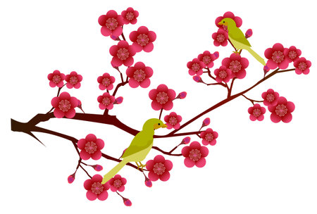 Plum spring flower watercolor iconのイラスト素材