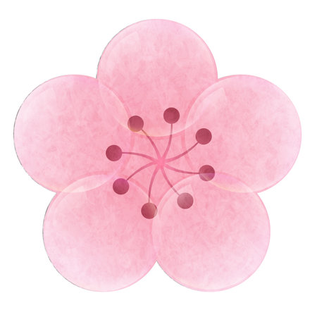 Plum spring flower watercolor iconのイラスト素材