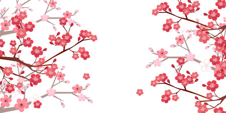 Plum tree spring flower backgroundのイラスト素材