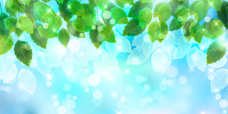 Fresh green leaves spring backgroundのイラスト素材