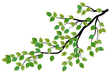 Fresh green leaf spring iconのイラスト素材