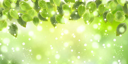 Fresh green leaves spring backgroundのイラスト素材