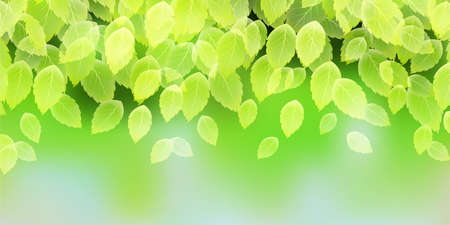 Fresh green leaves spring backgroundのイラスト素材